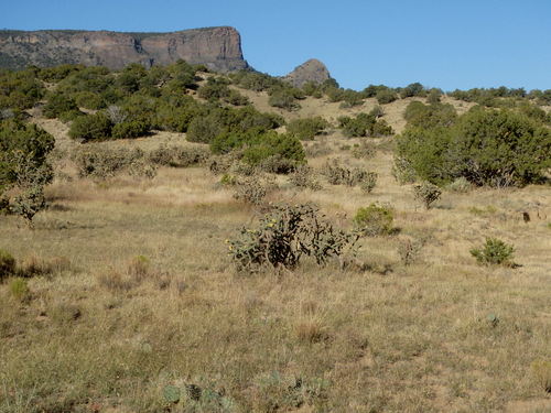 GDMBR: Ojo Frio Spring to Felipe-Tafoya Land Grant.